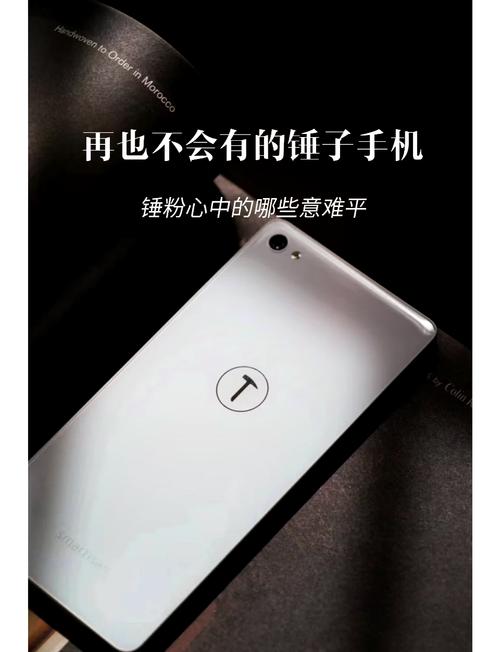 锤子桌面官网下载无广告安装