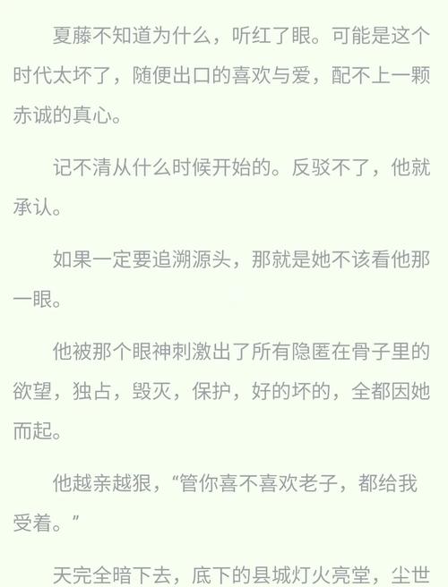 《酸梅》小说