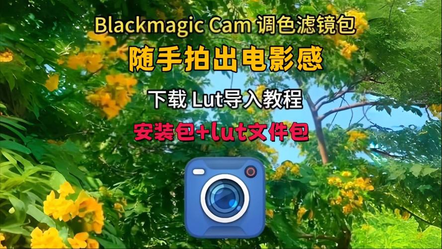 BlackmagicCamera调色包