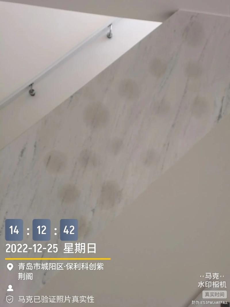 马克水印相机任