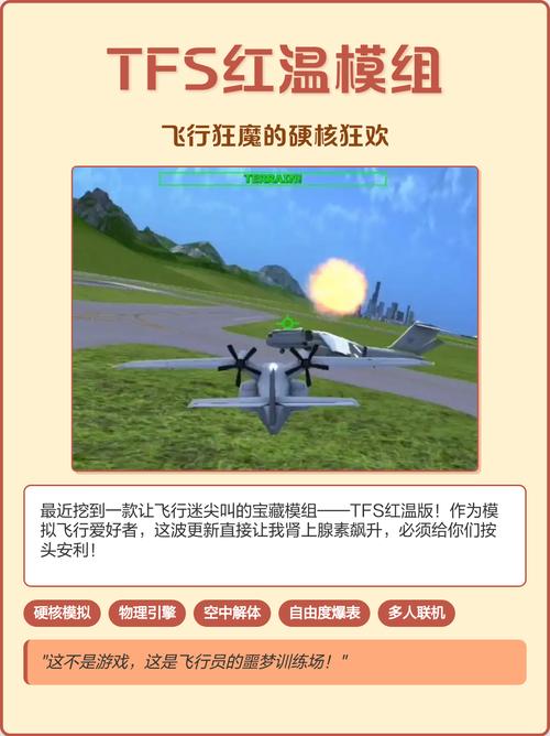 TFS红温模组