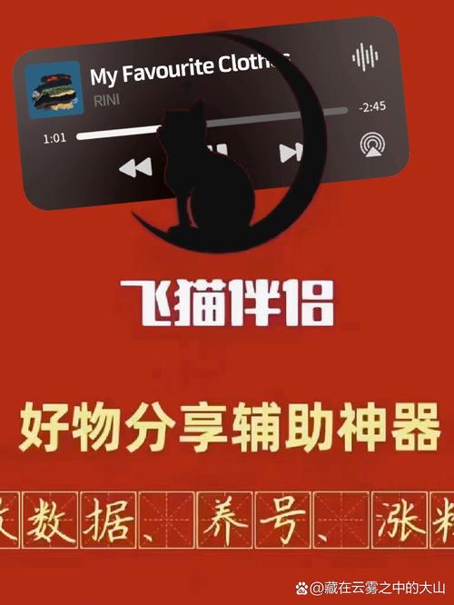 飞猫伴侣激活码