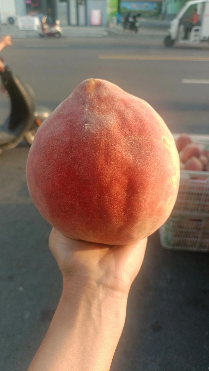 桃子移植单手绅