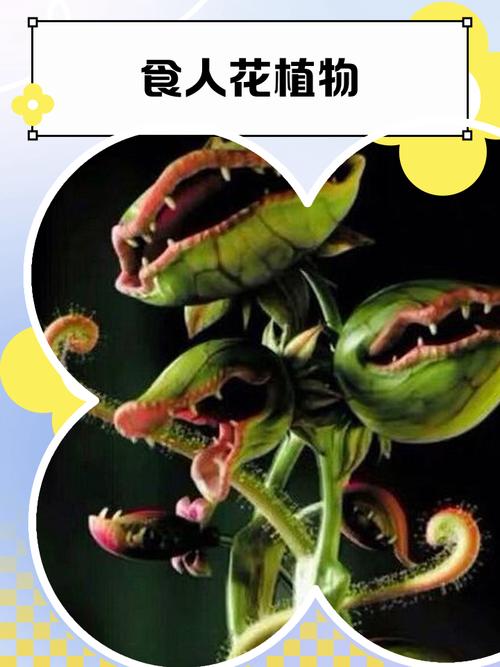 食人植物无限金