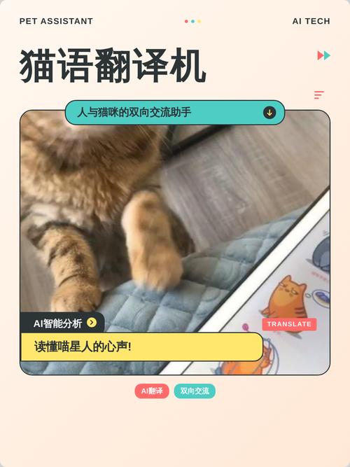 猫语翻译器辅助