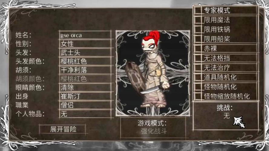 盐与避难所官方中文