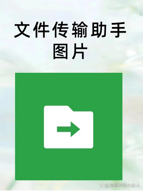 传输助手tv版