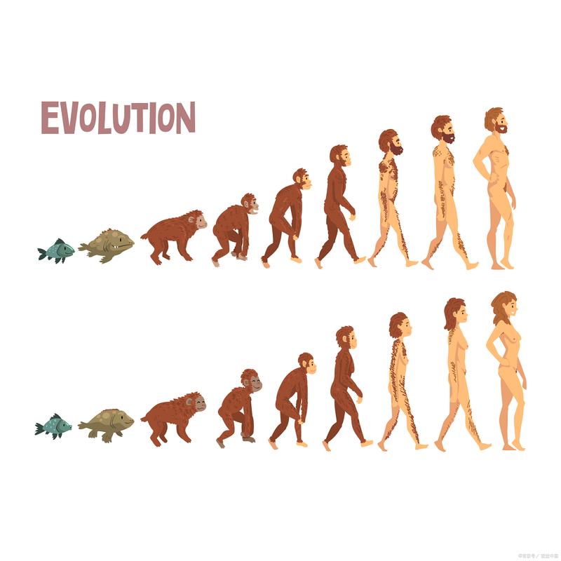 人类超级进化内