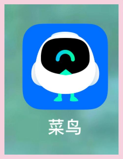 菜鸟小哥安卓下载无广告纯净版