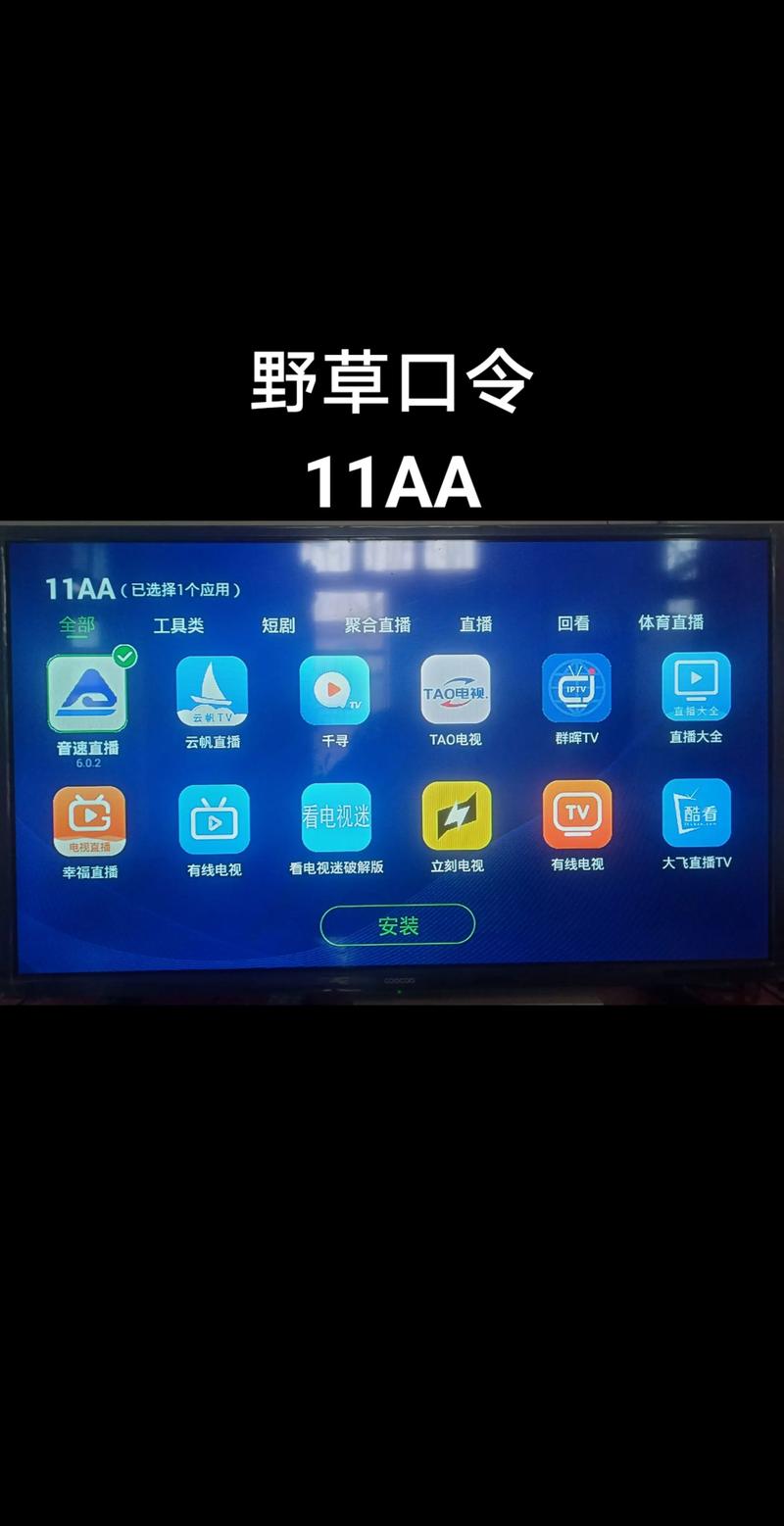 野草助手TV应用安装专家黑色免费最新版无限制永久免费