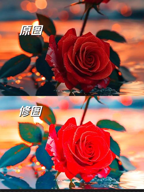 vivo手机相册照片颜色偏色
