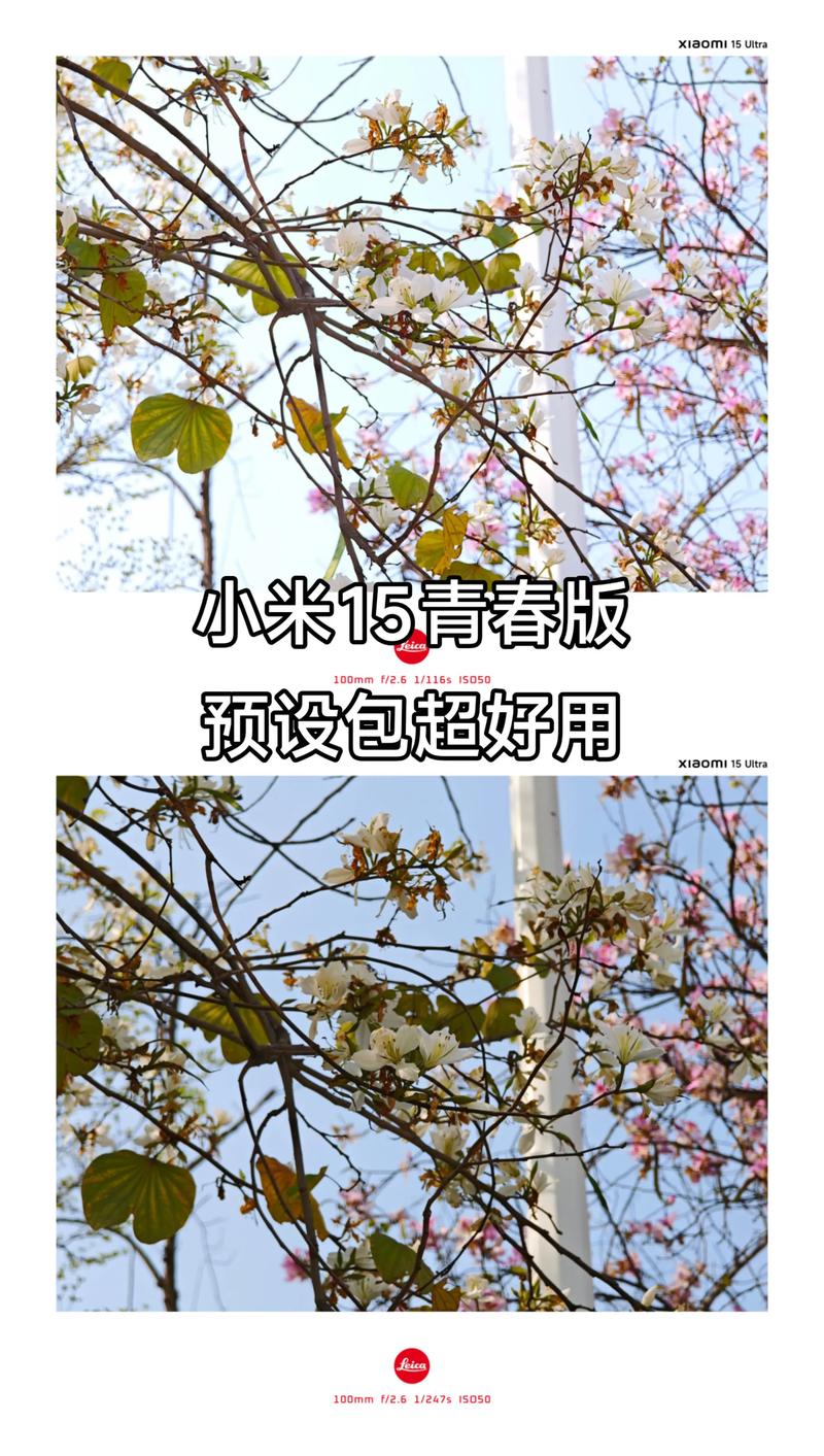 小米15专业模式预设包