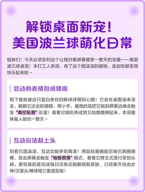 波兰球桌宠美国