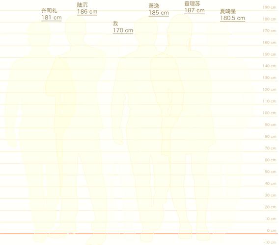 身高对比生成器永不升级版