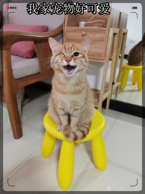 wink152