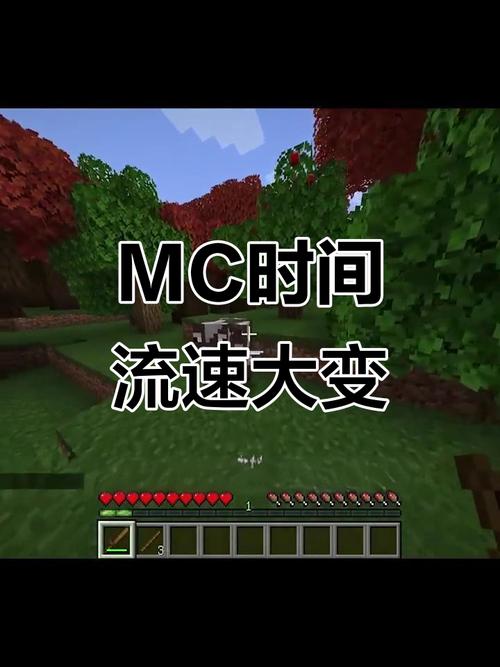 mc调时间流速