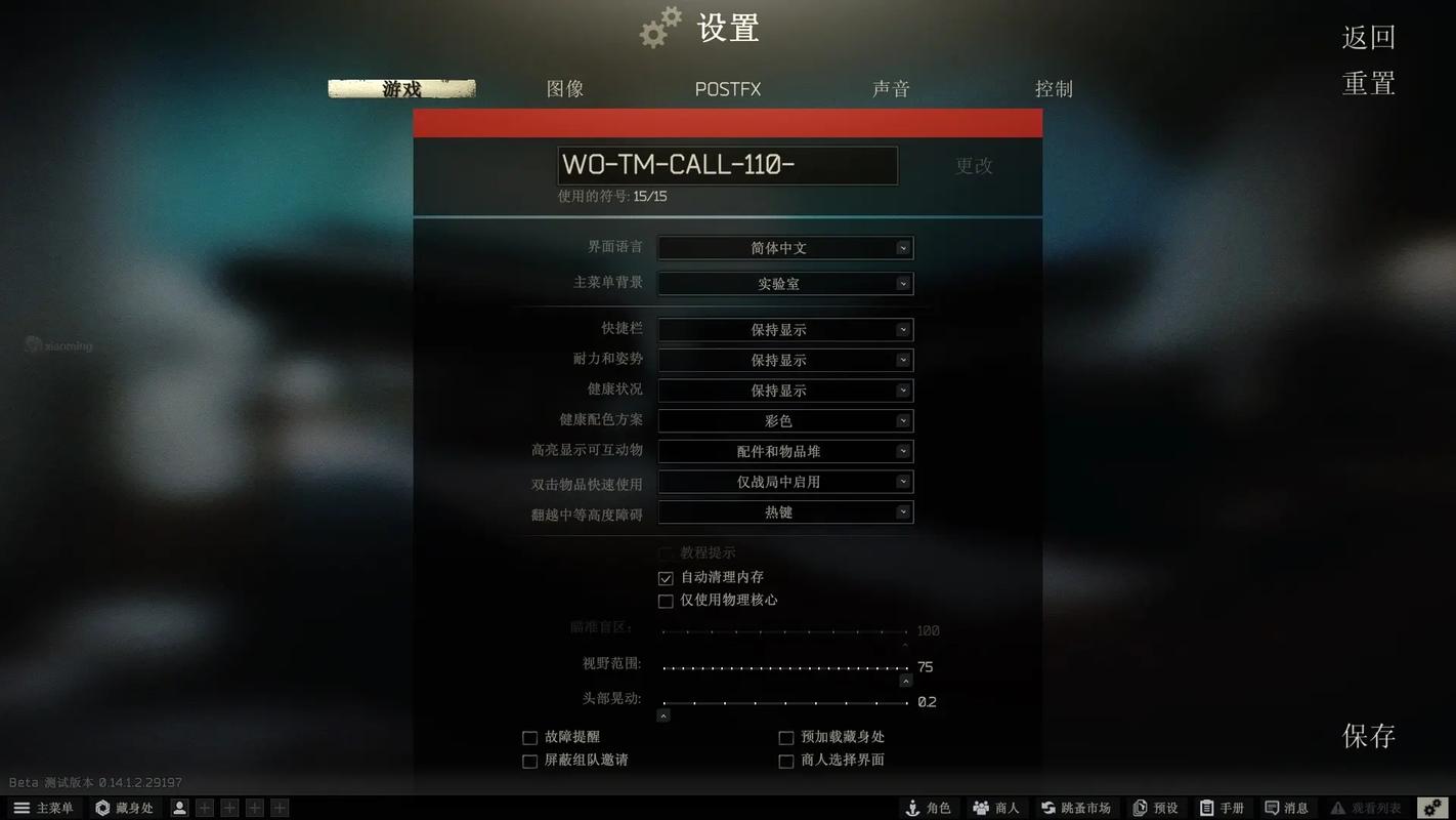 逃离塔科夫设置