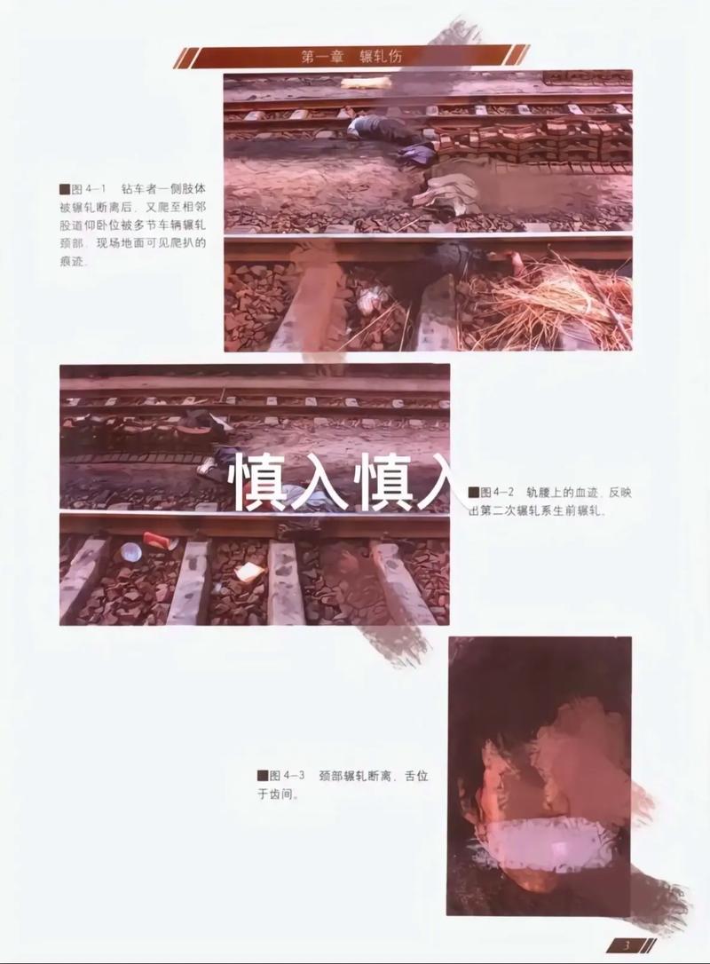 铁道损伤图谱电子书