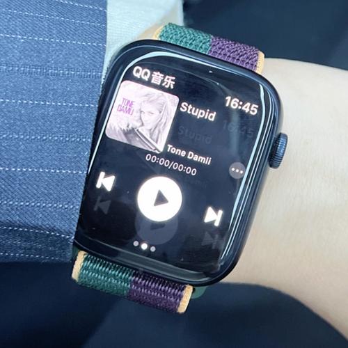 手表版QQ音乐黄化版聚合盒子