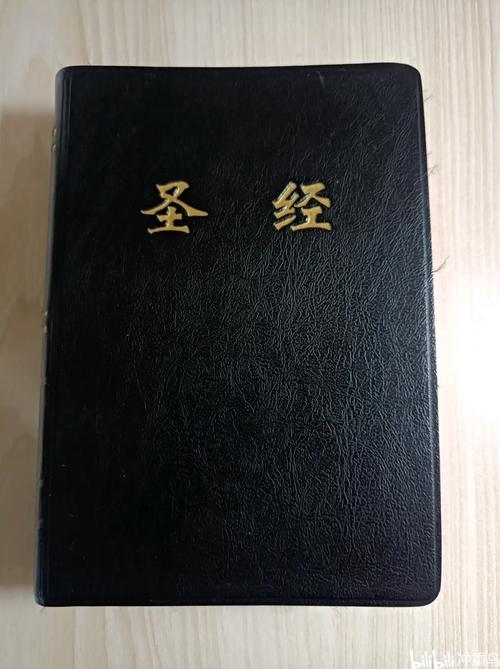 圣经电子版纪念版