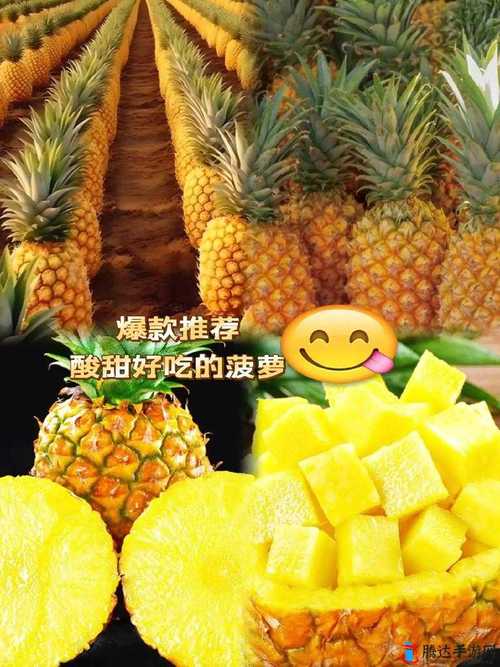 菠萝免费高清观看电视剧