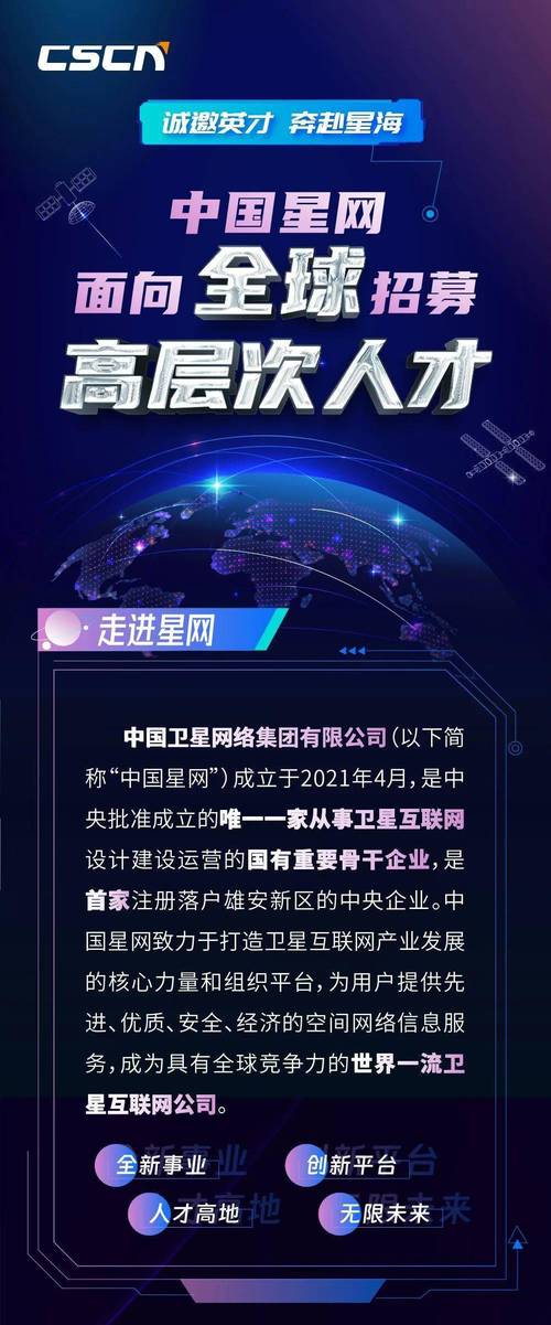 中国星网集团有限公司官网汉化版