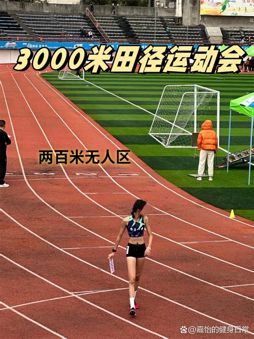 田径运动会3内