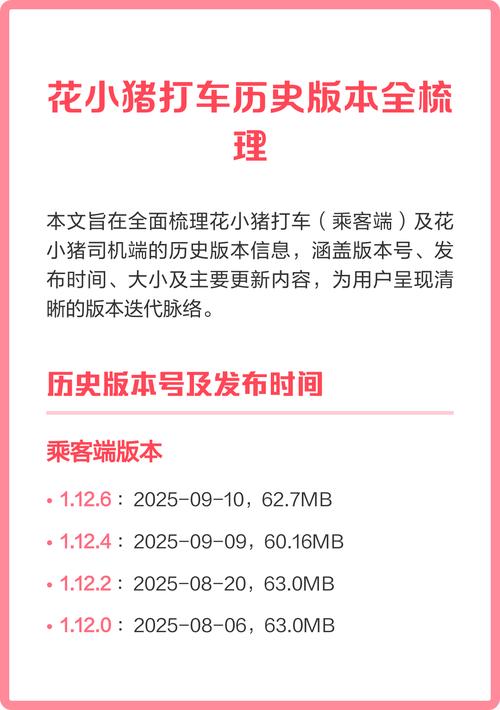 花小猪车主历史