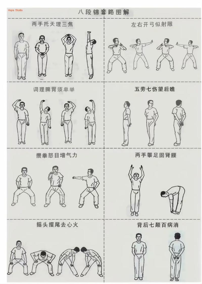 中央一套八段锦免费阅读无弹窗