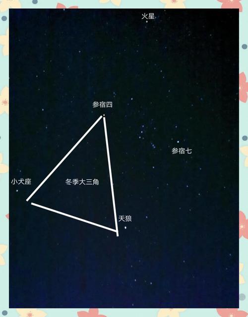 观星stell