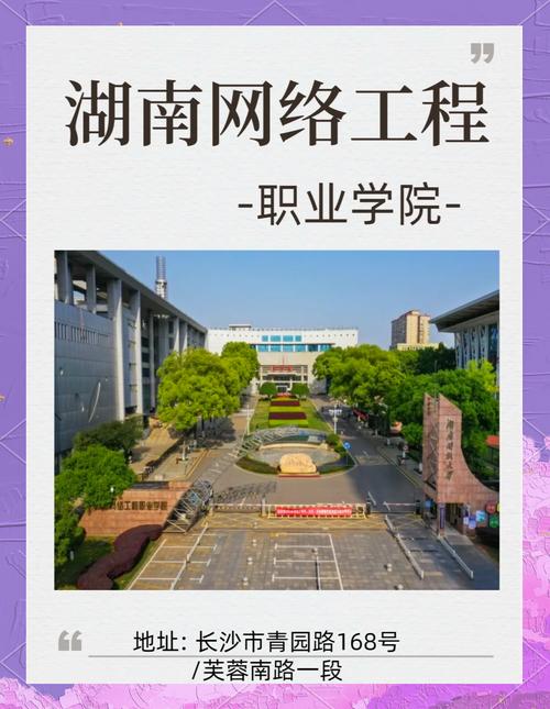 网络学院客户端下载高清版免广