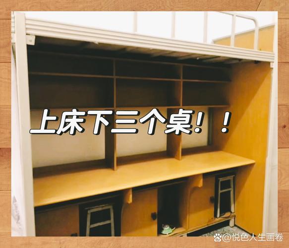 野良犬的寝室全