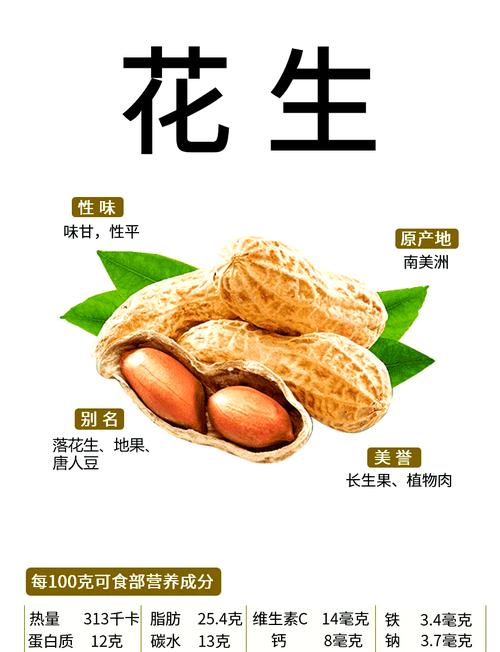 花生HTTp下载专业版