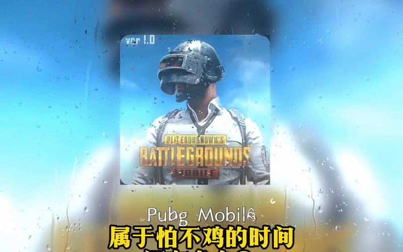 pubg怕不鸡国际服