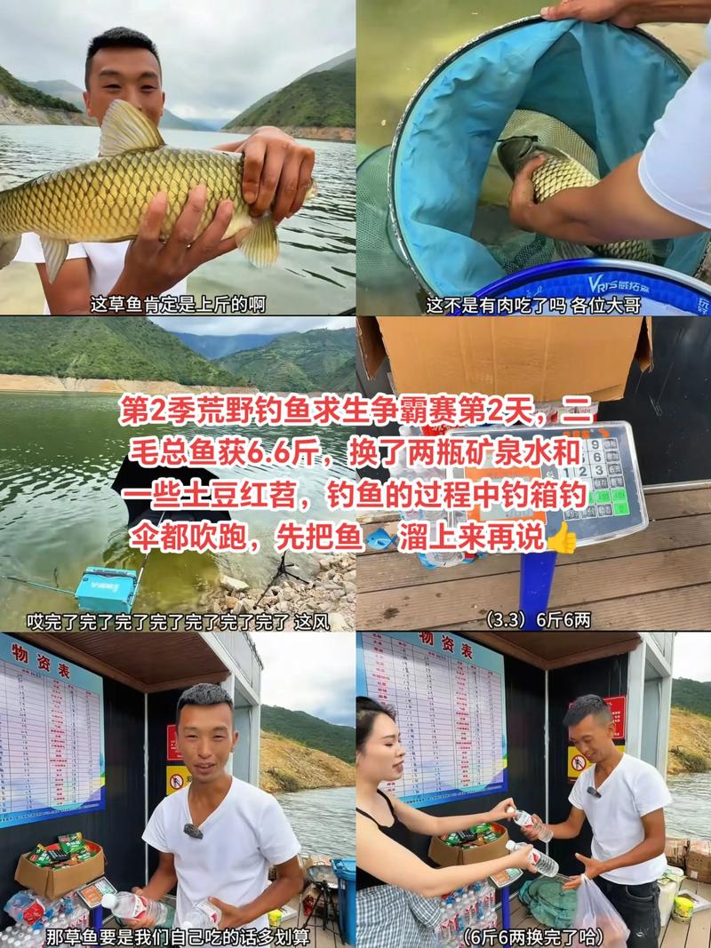 荒野钓鱼破解版下载去广告安卓版重制版