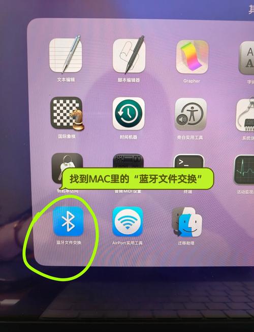 camhi安卓