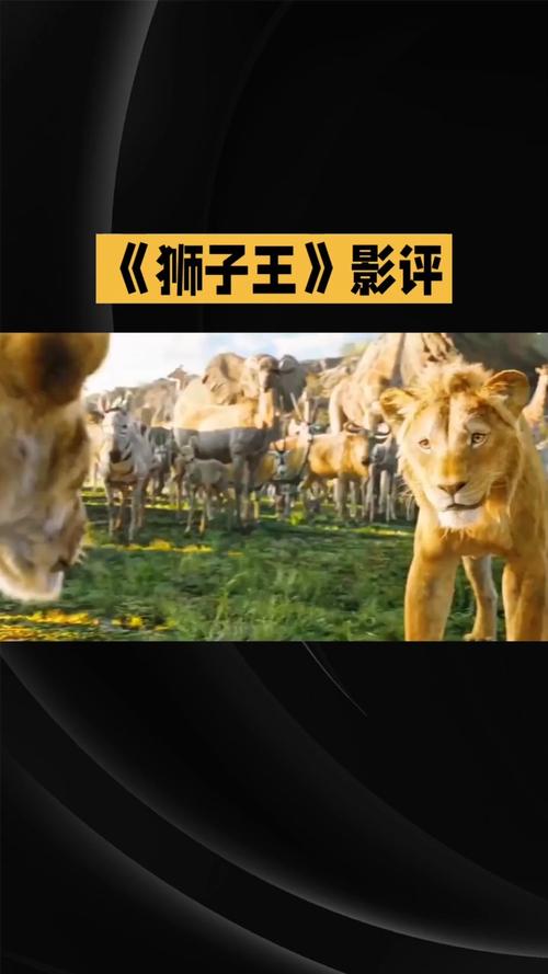 狮子影评官方无