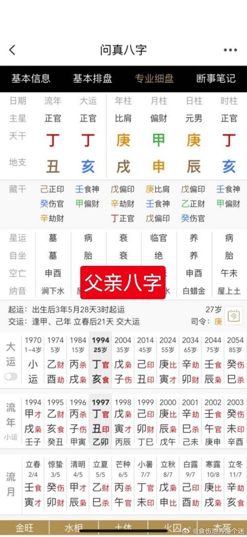 玄奥八字73正式版电子版纪念版