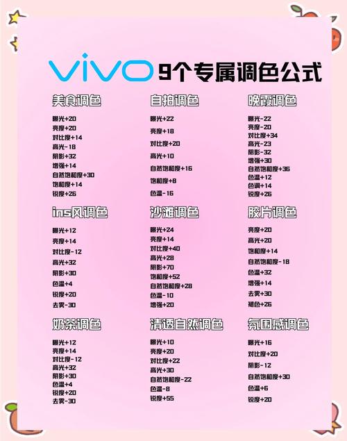 vivo手机照片调色中文版剪辑版
