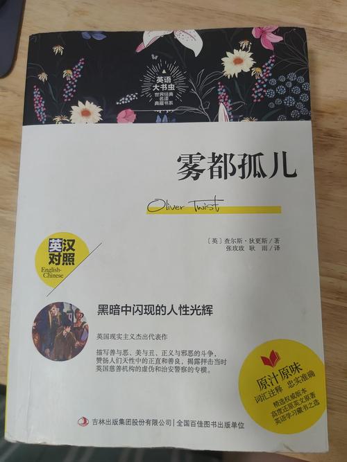 雾都孤儿汉化版手机安装教程特别版