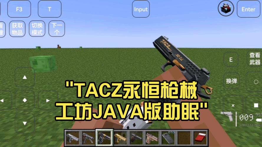 Tacz永恒枪