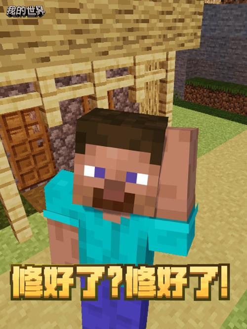 我的世界mc修
