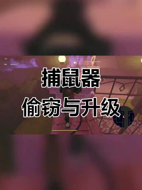 捕鼠器盗窃与束缚游戏