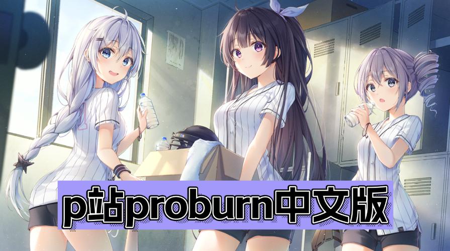 proburn中文版破解版网页版