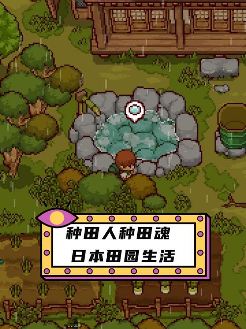 田舍生活20汉化版无付费版永久会员版