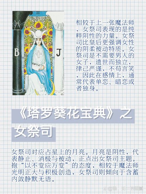 《塔罗葵花宝典》电子版2022免费版