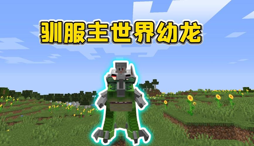 我的世界龙之冒险主世界幼龙永久vip无广告