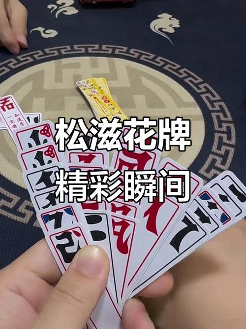 松滋花牌下载安装仲夏版无限次数版