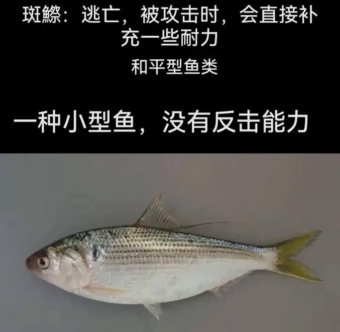 如何鱼吃鱼内置无限次数版