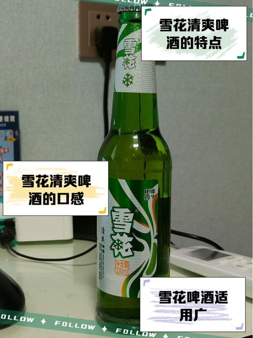 雪花直装v30